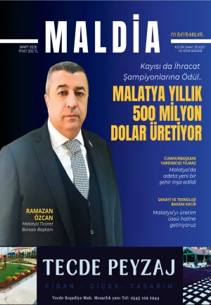Test Dergi 1